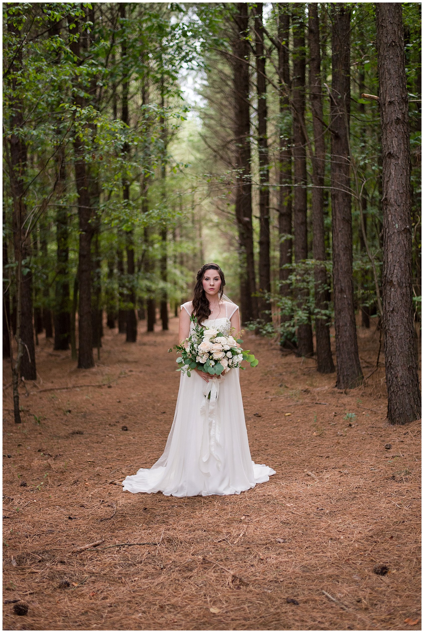 Beautiful Blush Pink Cream Green Wedding Charlotte North Carolina Virginia Wedding Photographers_1747