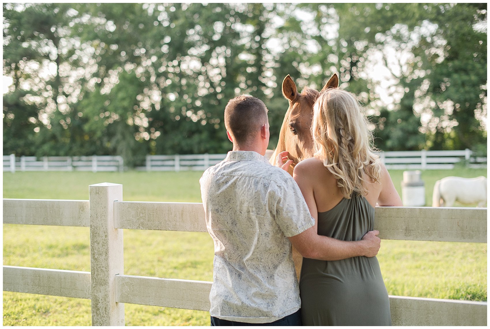 Golden Summer Engagement Session Back Bay Horse Farm Virginia Wedding Photographers_5490