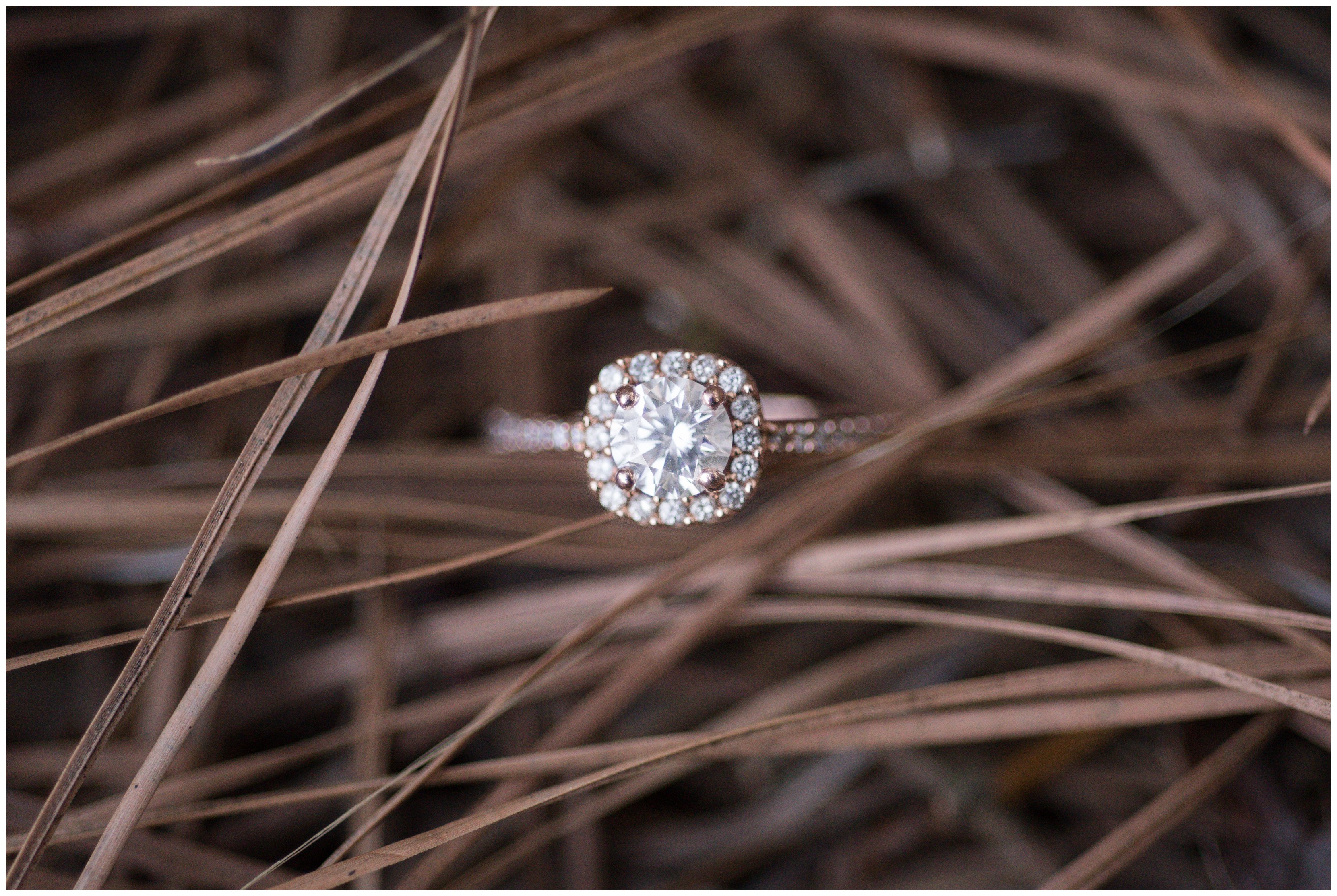 Pleasure-House-Point-Brock-Environmental-Virginia-Beach-Engagement-Session_0298
