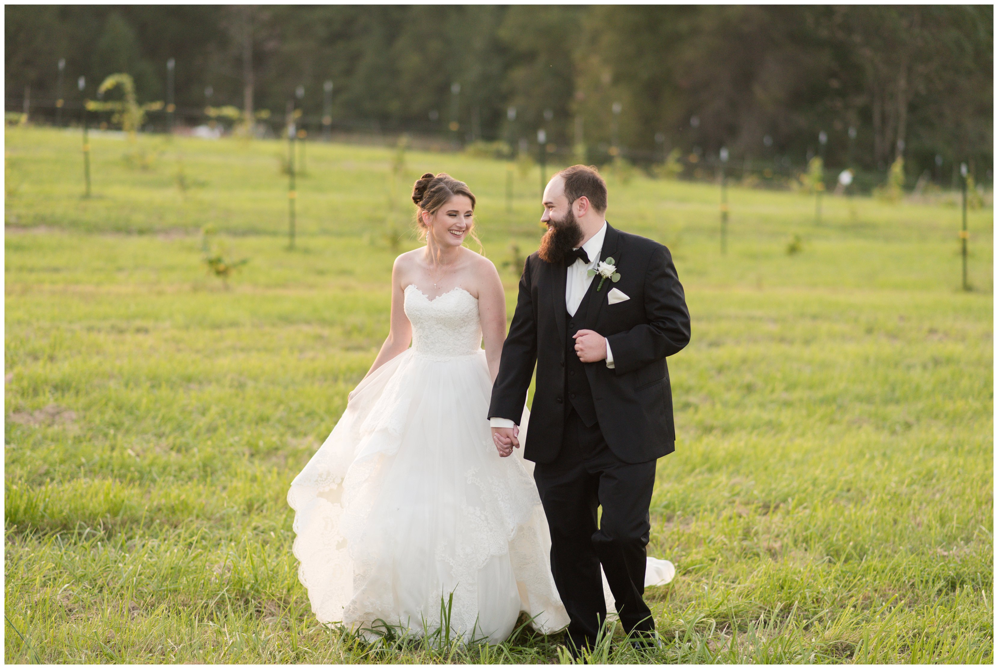 golden hour sunset with bride and groom at estate at white hall vineyard wedding by virginia wedding photographers
