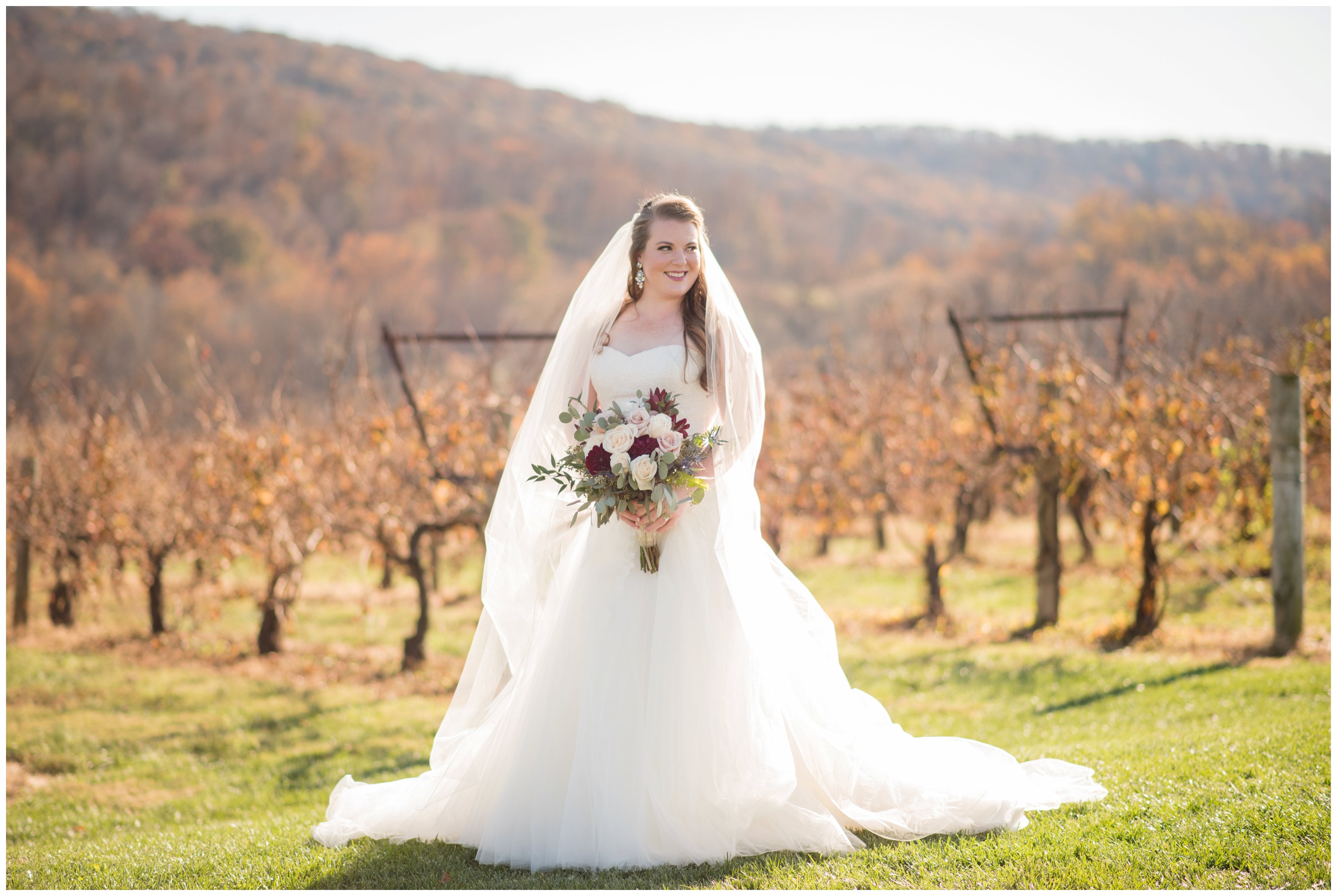 bride holding bouquet at breaux vineyard wedding by purcellville virginia wedding photographers