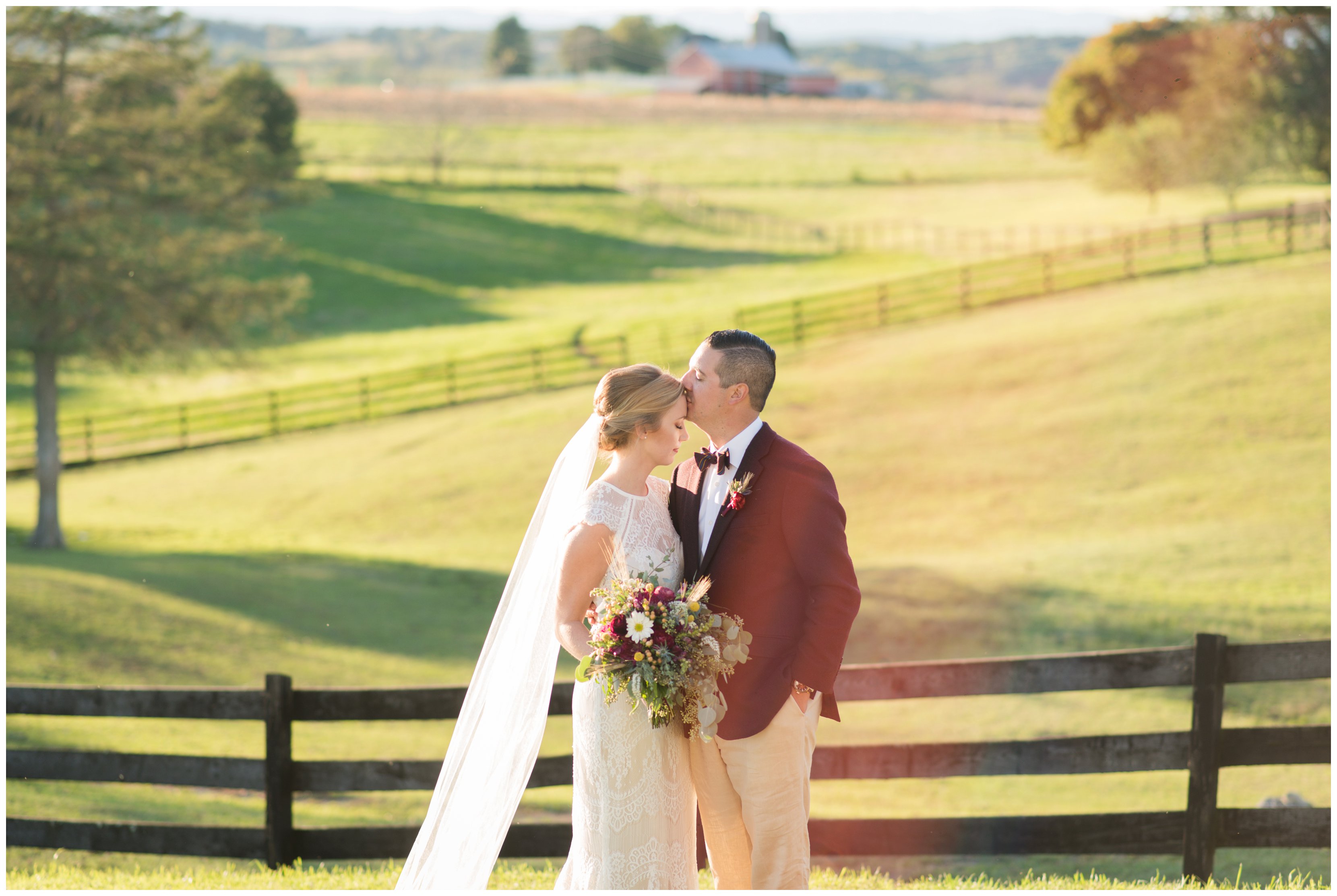 groom kisses brides forehead in open field at hermitage hill farm and stable wedding