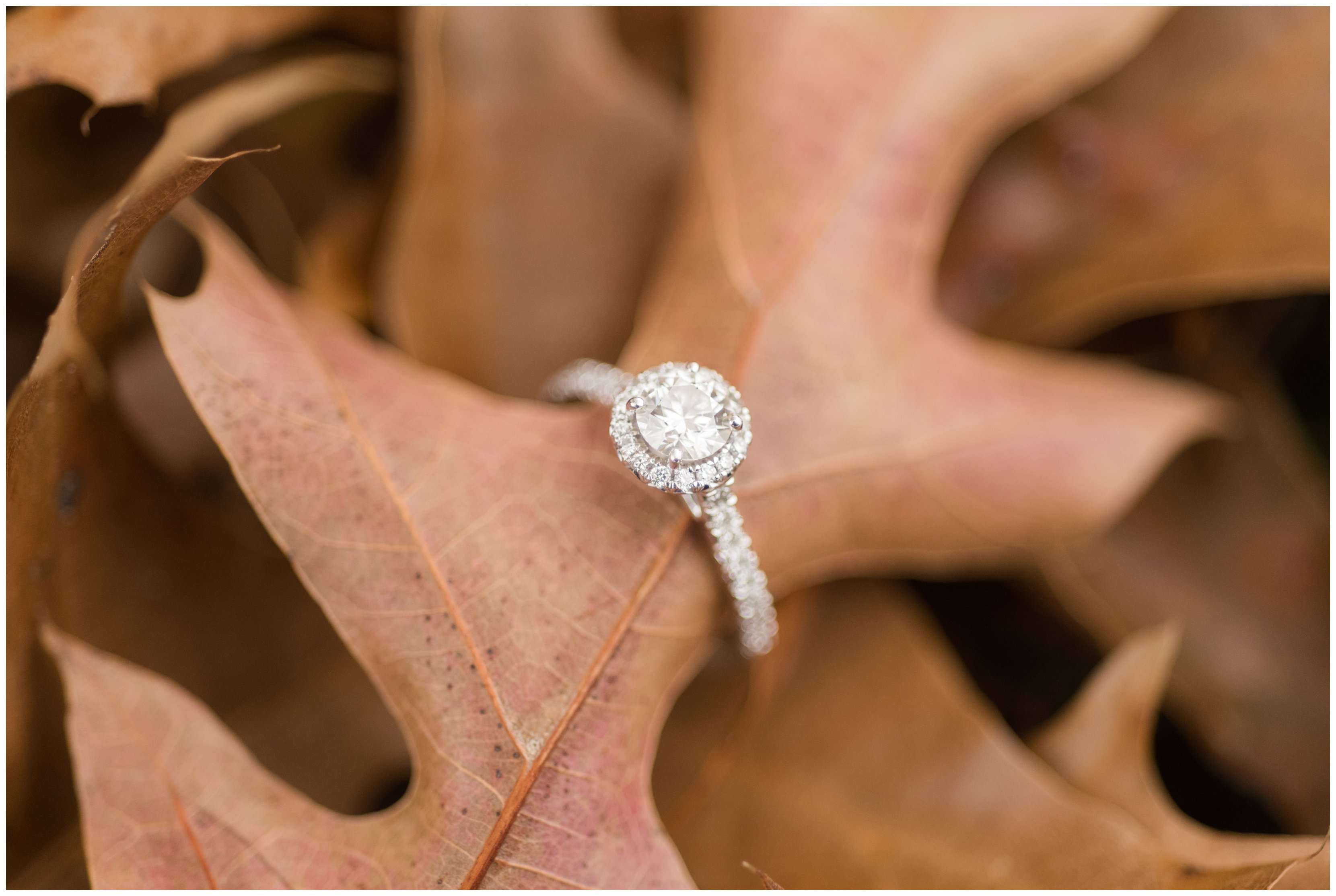 macro close up of engagement ring virginia photographer
