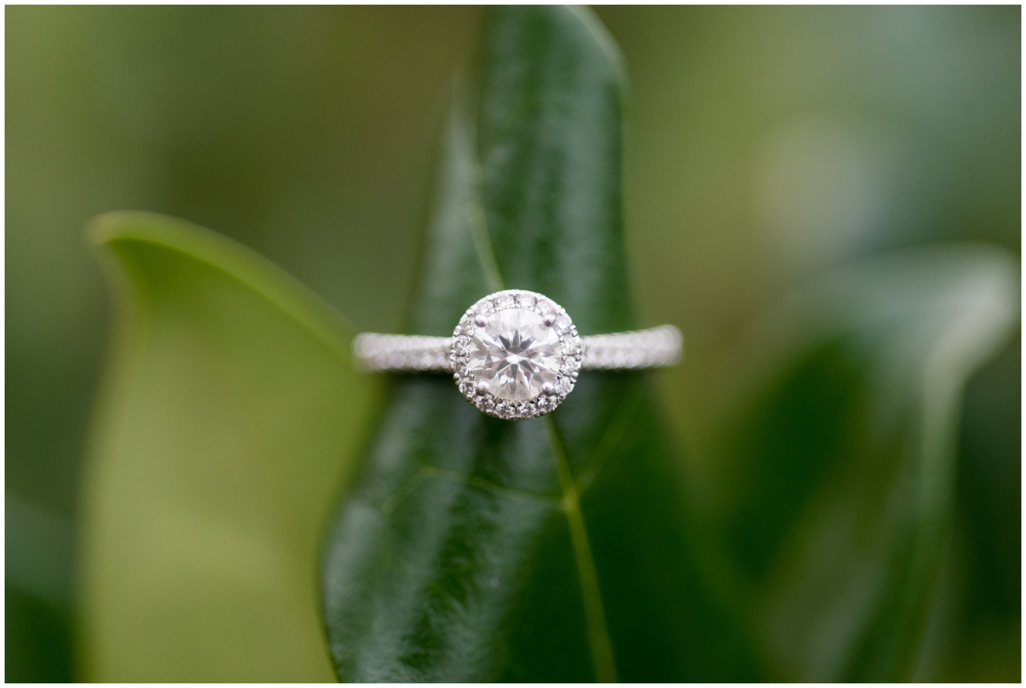 engagement ring by virginia wedding photographer